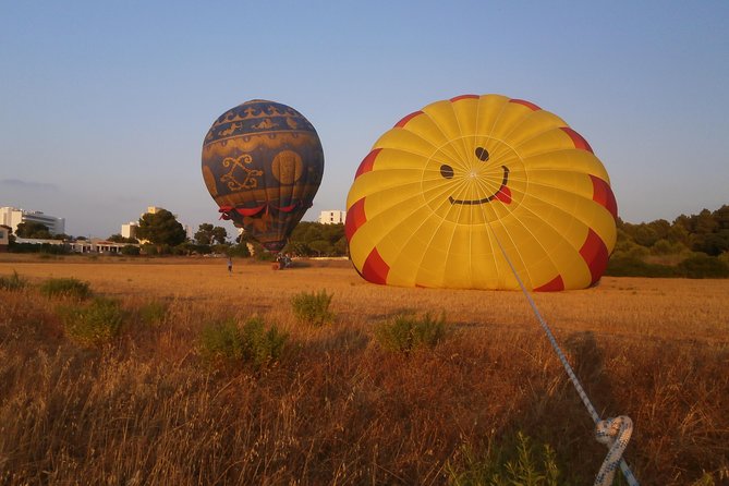 Private Hot Air Balloon Ride in Mallorca with Champagne and Snacks - Price and value: what you’re really paying for at $480.61