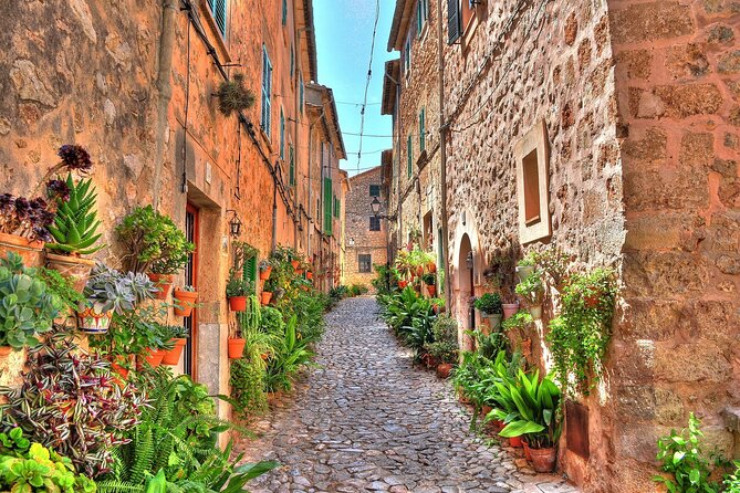 Private Shore Excursion to Valldemossa and Palma de Mallorca - Real value comes from your guide: Peter, Luis, Maria, and the human touch
