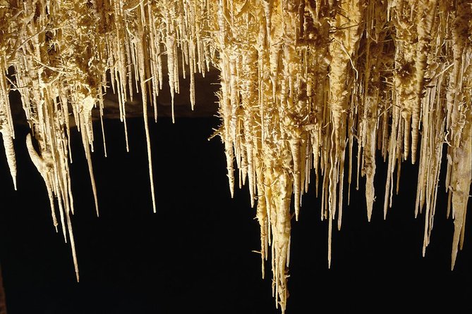 Private Tour: Mallorca Caves of Drach and Majorica Pearl Factory - Porto Cristo time: use it well, don’t treat it as a drive-by