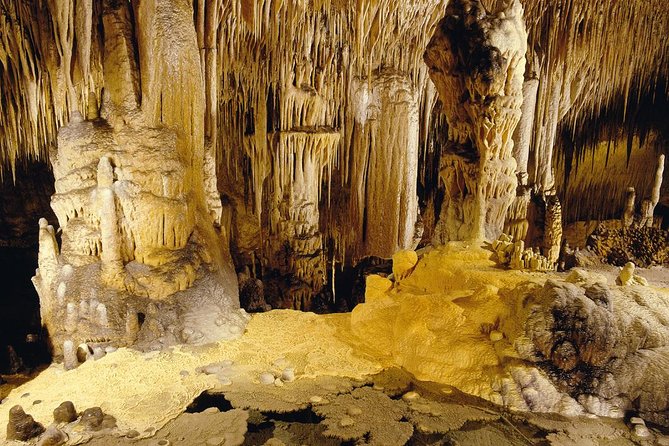 Private Tour: Mallorca Caves of Drach and Majorica Pearl Factory - Should you book this Mallorca Caves of Drach and Majorica private tour?