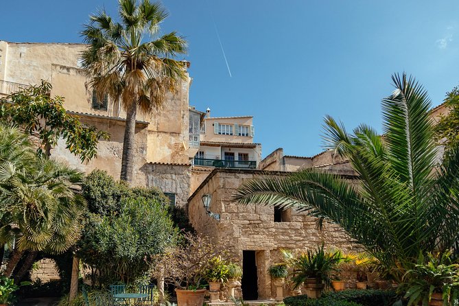 PRIVATE TOUR of Palma de Mallorca: Highlights & Hidden Gems - Placa Major and Llotja de Palma: The City’s Main Stage and Its Side Eye