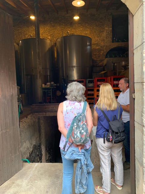 Private tour: Wine tasting, experience real Mallorca - Plaza España to Mallorca’s Wine Country: The Smooth Start