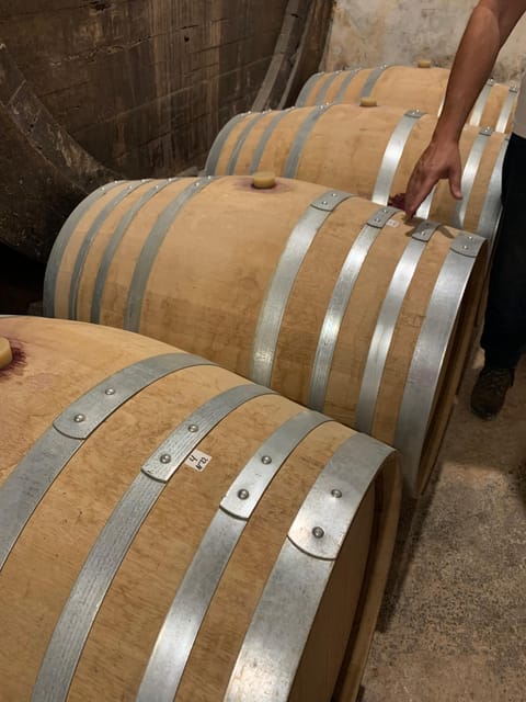 Private tour: Wine tasting, experience real Mallorca - Choosing the Winery: Availability-Based Stops and an Optional Second Cellar