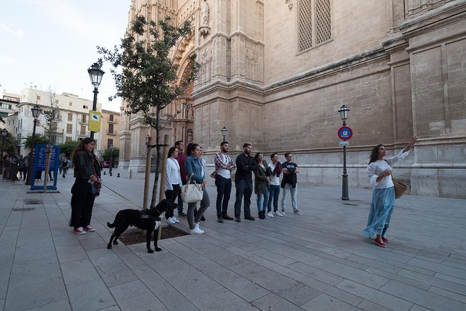 Private walking tour in Palma de Mallorca with local guides. - Ajuntament de Palma and Pl. Major: the civic center