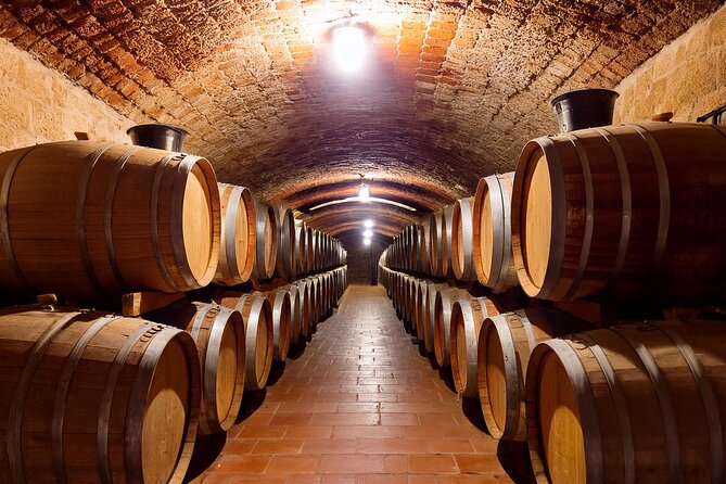 Private Wine and Local Flavors Tour from Palma de Mallorca - What You’re Really Getting: a Private Palma Wine Afternoon