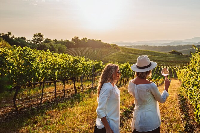 Private Wine and Local Flavors Tour from Palma de Mallorca - Palma Pickup to Countryside Drop-Off: the Easy Part