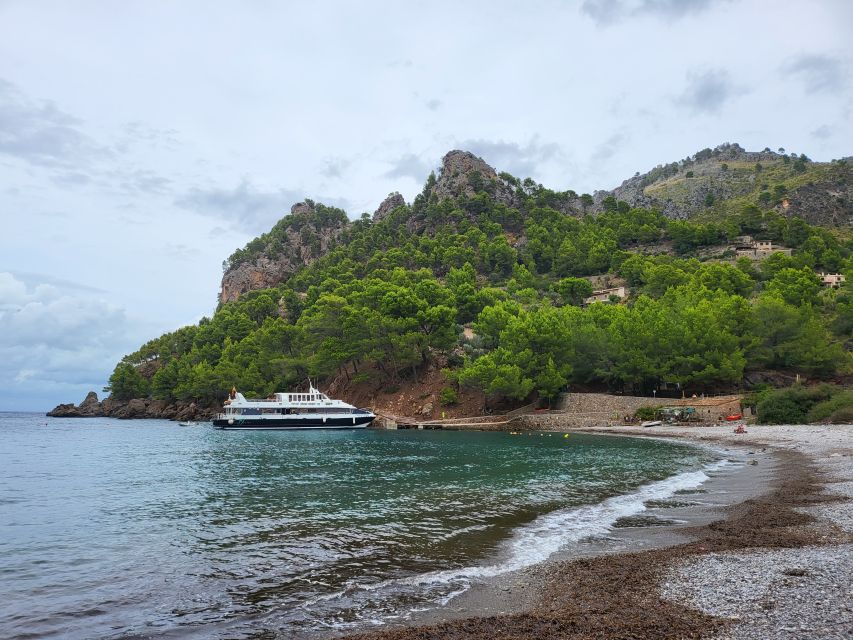 Puerto de Sóller: Cala Tuent Return Boat Trip - Key highlights that matter