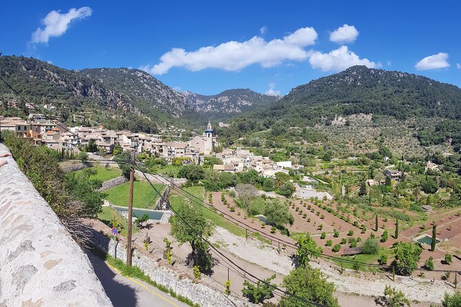 Quad tour from Paguera 3 hours - Who should book this Paguera quad tour (and who might not)