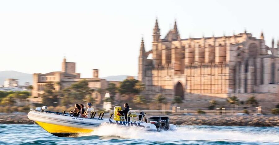 S'Arenal: Boat trip to Illetas with views of Palma - Price and value: what $53 per person is really paying for
