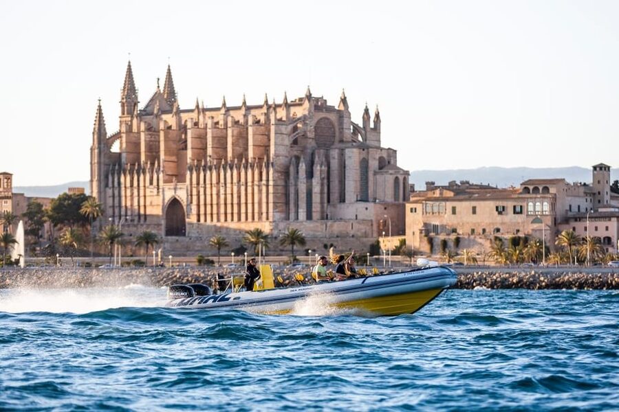 S'Arenal: Boat trip to Illetas with views of Palma - A simple 3-hour rhythm you can actually enjoy