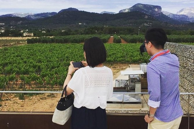 Sa Clasta Mallorca Wine Tours - Why two winery stops work so well in 6 hours