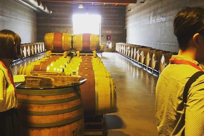 Sa Clasta Mallorca Wine Tours - Small group setup: private feel without going tiny