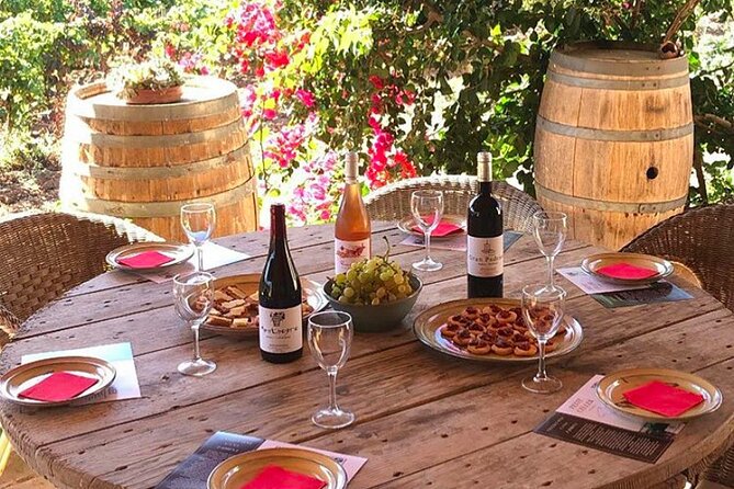Sa Clasta Mallorca Wine Tours - What to watch for: wine preferences and second-stop fit