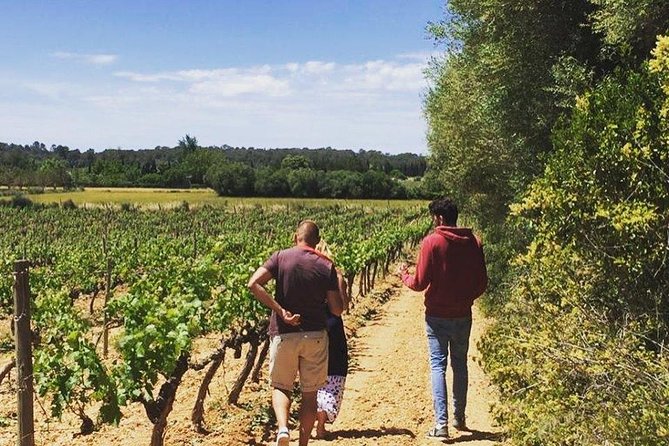 Sa Clasta Mallorca Wine Tours - Mallorca hotel pickup: easy on paper, watch the timing