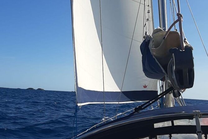 Sailing Trip in Santa Ponsa - Santa Ponsa Sailing: A Quick Mallorca Escape That Feels Private
