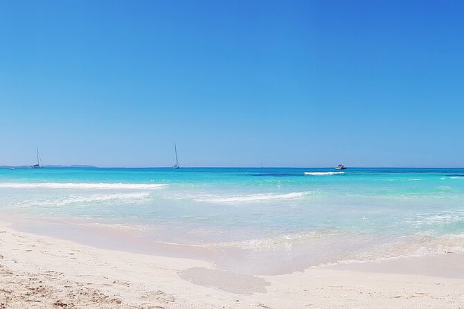 Salobrar Natural Park - Es Trenc Beach - Key Things To Know Before You Go