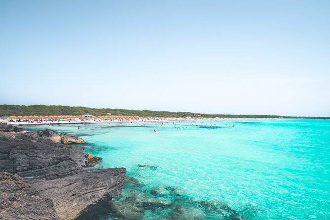 Salobrar Natural Park - Es Trenc Beach - La Rapita and Ses Covetes: Easy Food Options Without Overthinking