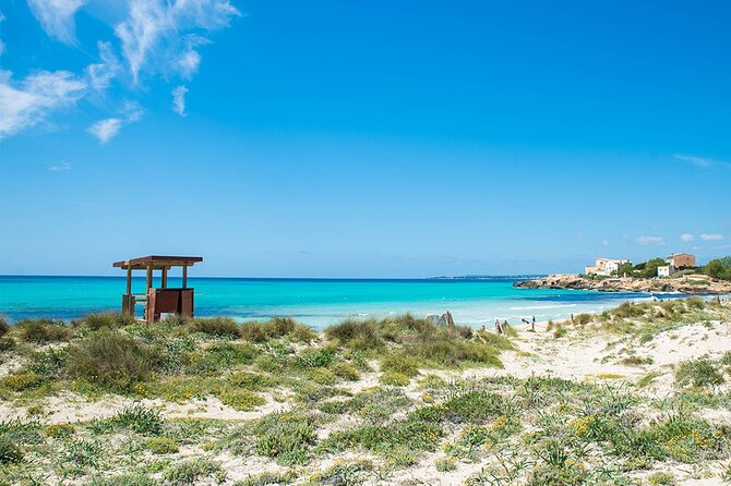 Salobrar Natural Park - Es Trenc Beach - Transportation and Group Reality (and the One Thing to Watch)