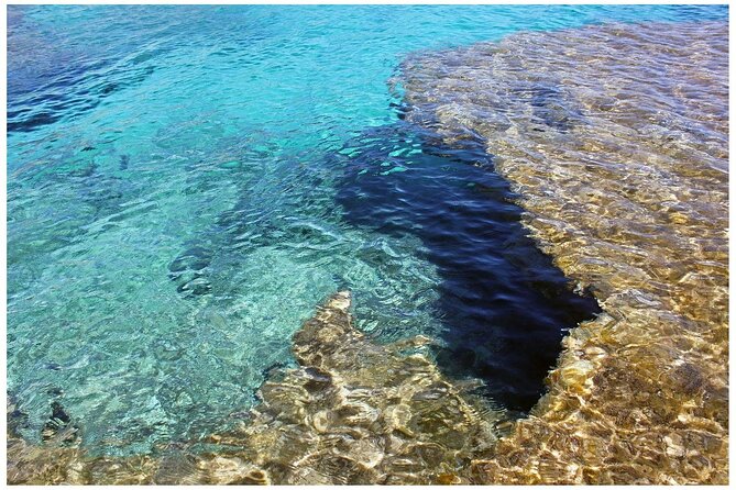 Salobrar Natural Park - Es Trenc Beach - From Palma to La Rapita: The Part That Sets Up Your Beach Day