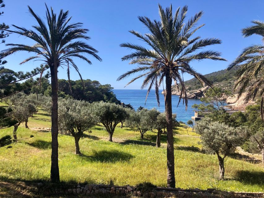Sant Elm: Guided kayak tour to the island Dragonera - Sa Dragonera Natural Park by kayak: the coast you can’t get from land
