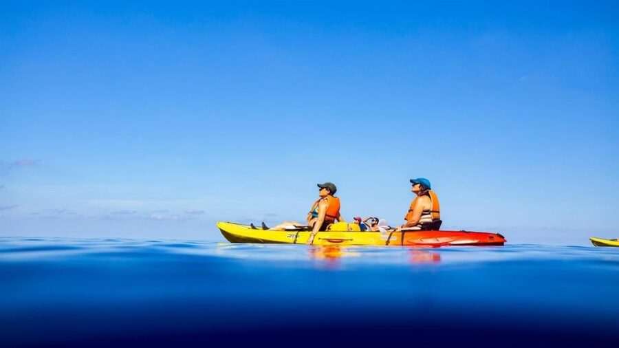 Sant Elm: Guided kayak tour to the island Dragonera - Languages and guide style: easy to follow