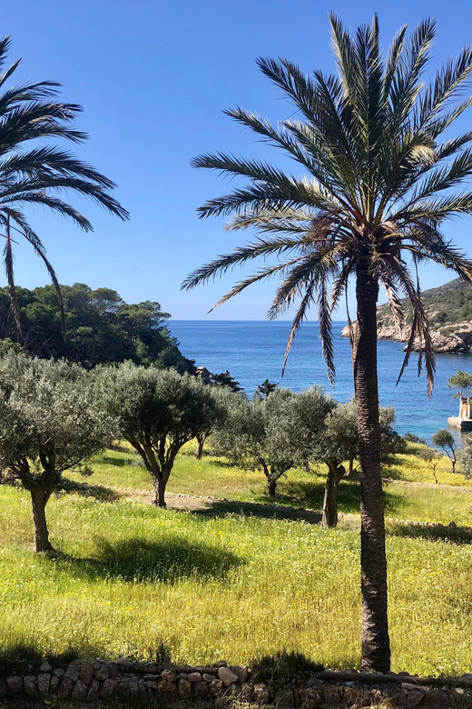 Sant Elm: Guided kayak tour to the Island Dragonera & Hiking - Why Dragonera feels different from the usual Mallorca day