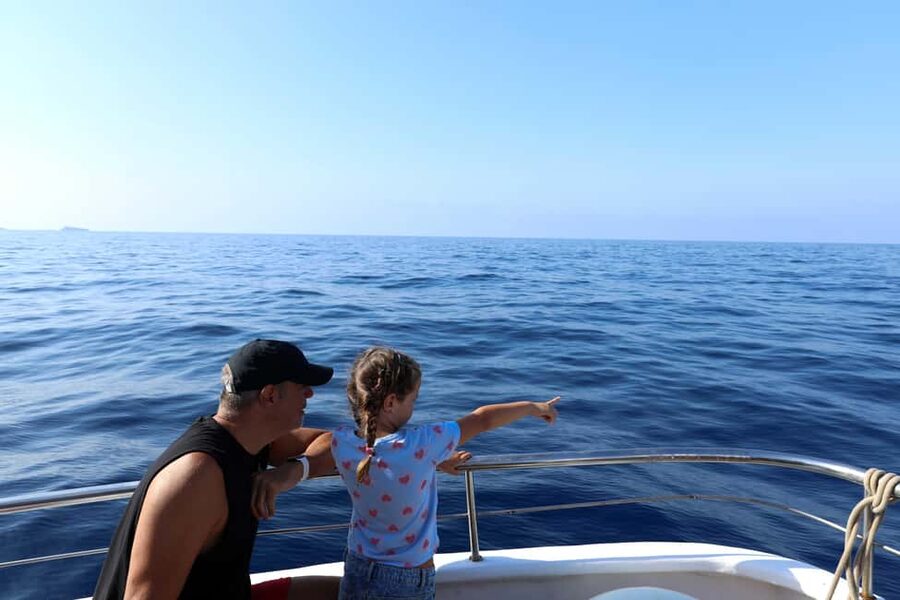 Santa Ponsa: Dolphin Watching Cruise - What Species You Can Look For (Risso’s to White-Sided)