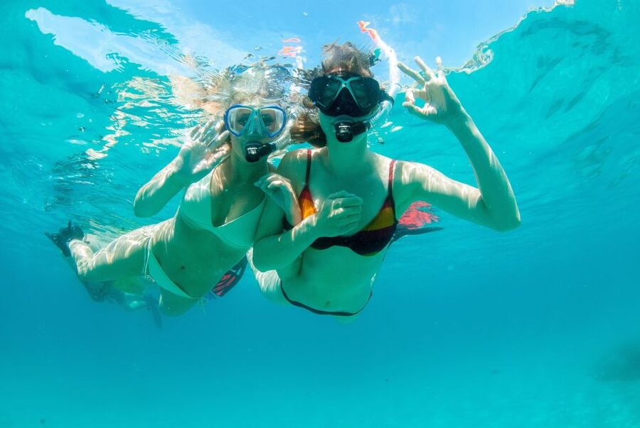Santa Ponsa: Snorkeling Tour in a Marine Reserve - Snorkeling in the Las Malgrats Marine Reserve: what your 2 hours look like