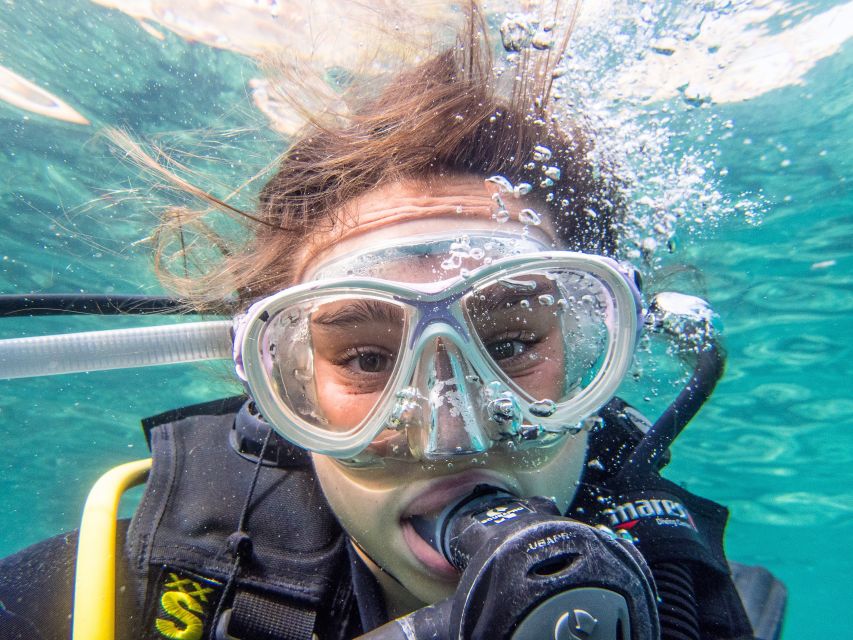 Santa Ponsa: Try Scuba Diving in a Marine Reserve - Key highlights worth your attention