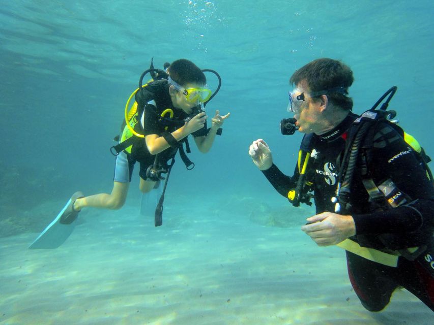 Santa Ponsa: Try Scuba Diving in a Marine Reserve - Should you book this Santa Ponsa first-time scuba experience?