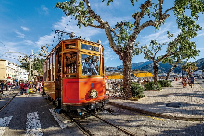 Scenic tour by Train, Tram and Boat through the lakes - Sa Calobra: 2 hours by Torrent the Pareis (yes, possible swim time)
