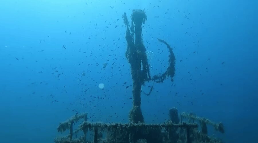 Scuba Diving - Dive for certified divers - Key highlights to know before you book