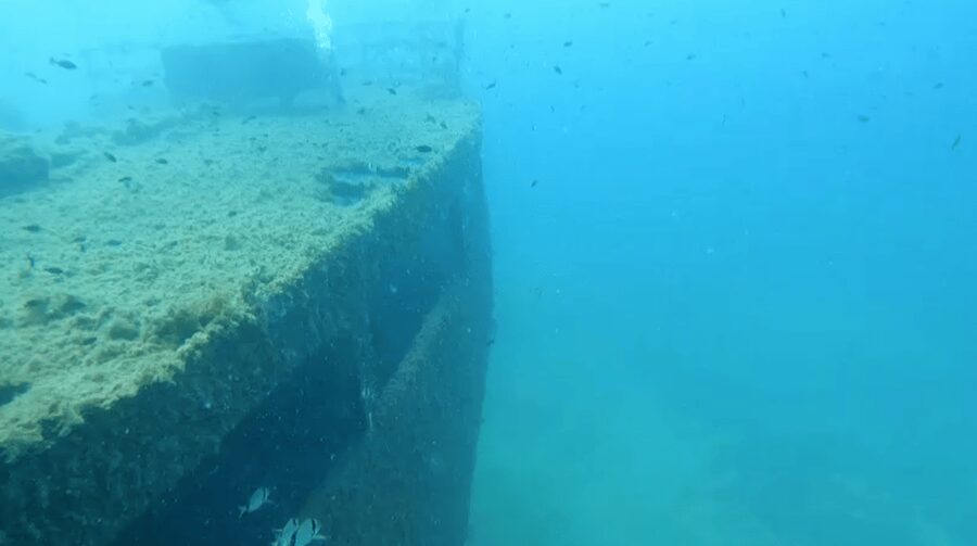 Scuba Diving - Dive for certified divers - Price and value: what you’re really paying for