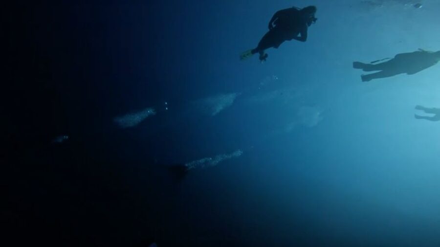 Scuba Diving - Dive for certified divers - Where you’ll go: different island areas based on sea conditions