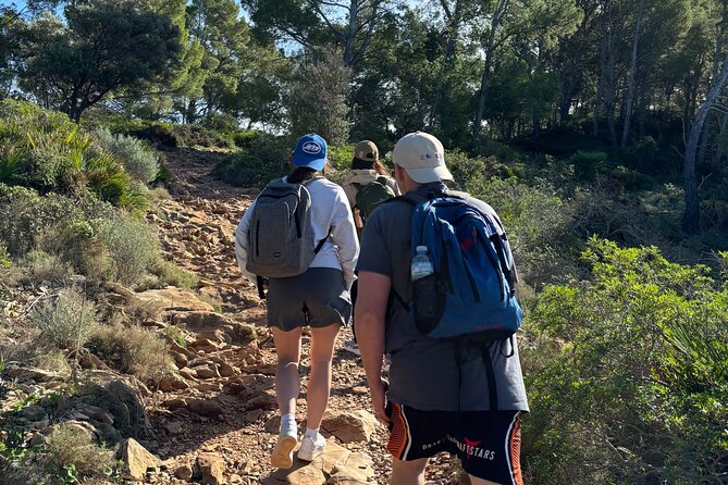 Sierra de Tramuntana hike with small picnic - Hiking through the Sierra de Tramuntana: choosing your trail level