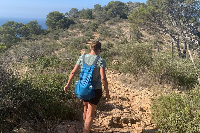 Sierra de Tramuntana hike with small picnic - Who this hike fits best (and who might want a different plan)