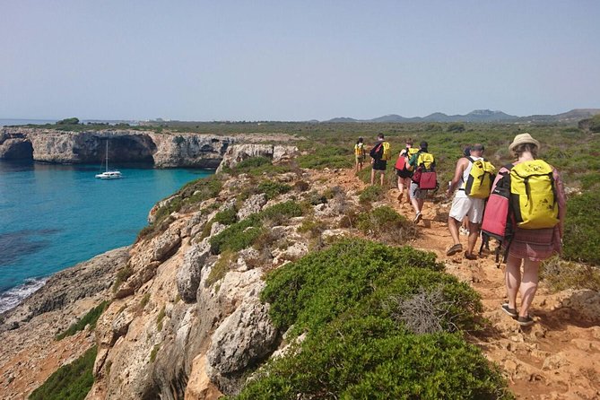 Small-Group Cova de Coloms Sea Caving Tour in Mallorca - Getting there from Palma: pickup, meeting point, and timing reality