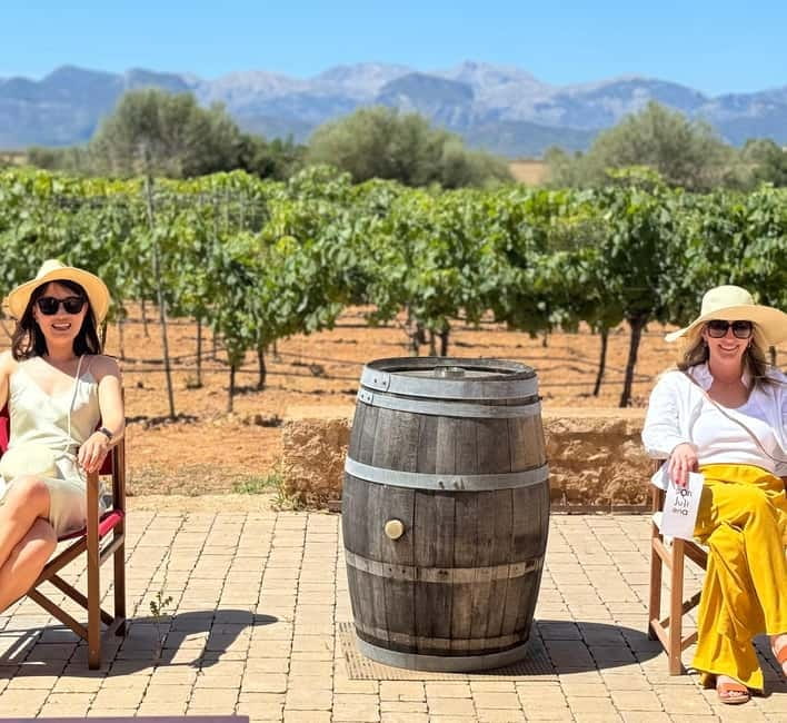 Small group- Exclusive Olive Oil & Wine Tour Mallorca - Tasting Extra Virgin Olive Oil Without Getting Lost