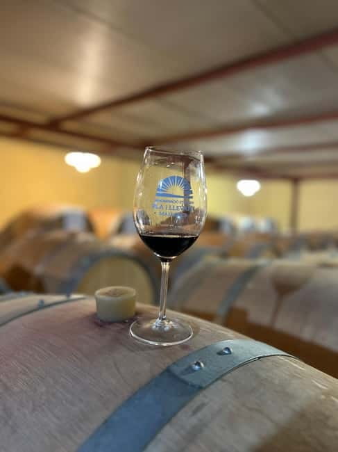 Small group- Exclusive Olive Oil & Wine Tour Mallorca - The Bodega: Wine, Tour, and Hand-Selected Tapas