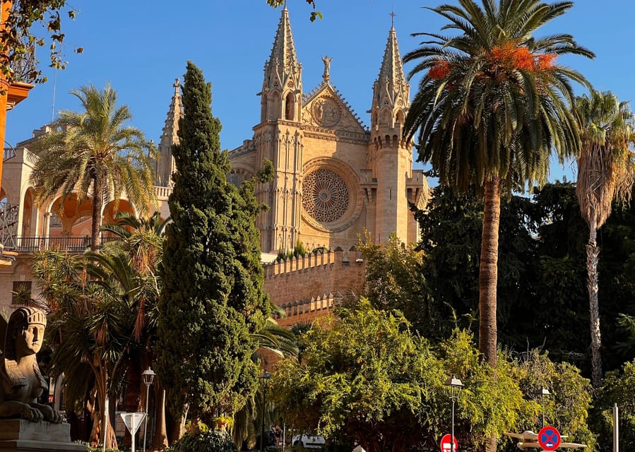 Small group- Exclusive Olive Oil & Wine Tour Mallorca - Mallorca Wine History, Explained in Plain Language
