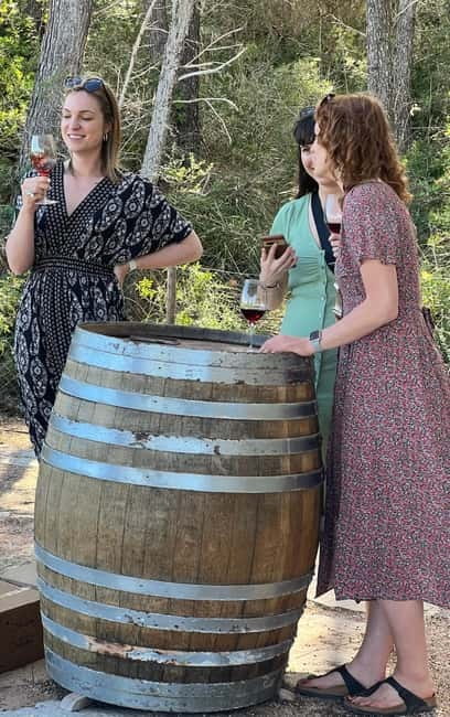 Small group- Exclusive Olive Oil & Wine Tour Mallorca - Price and Value: What $194 Actually Buys