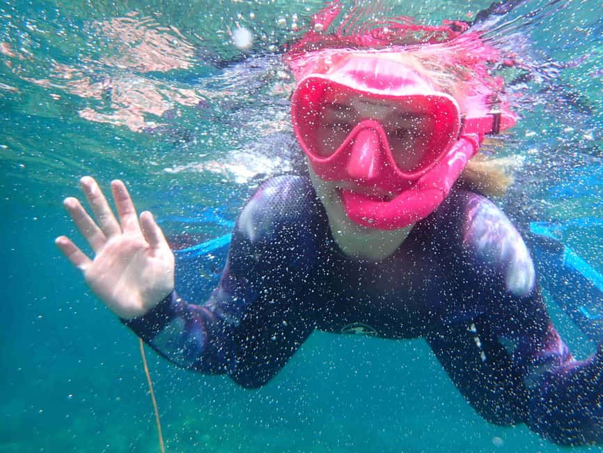 Snorkeling guided tours for tha all family! - Key highlights at a glance