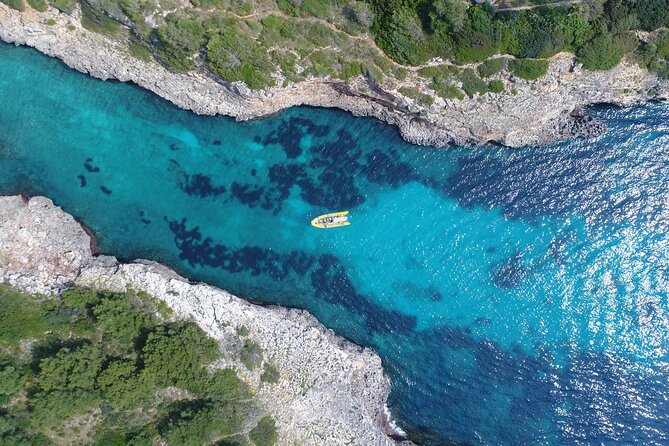 Snorkeling in the Natural Park of Mallorca by boat - Who This Tour Suits Best