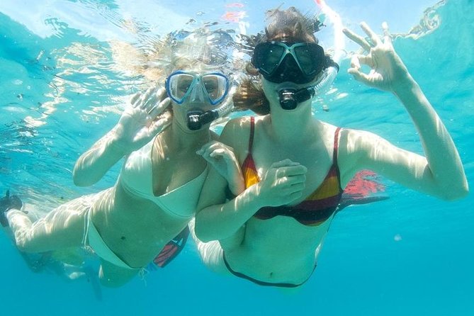 Snorkeling Tour to the Malgrats Islands by boat - Key things to know before you go to Malgrats