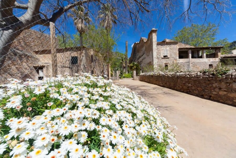 Sóller: Jardines de Alfabia Entrance Ticket - How much time you need (and how not to get rushed)