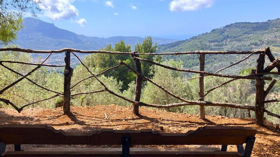 SOLLER: Olive Grove Experience, Oil Tasting & Picnic in the Tramuntana - The walk through the olive grove: pace, shoes, and sheep spotting