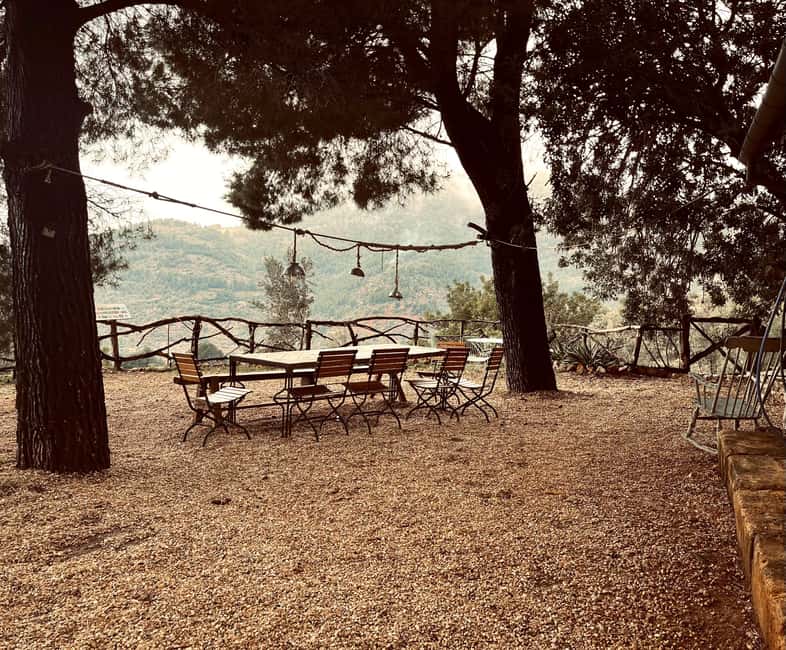 SOLLER: Olive Grove Experience, Oil Tasting & Picnic in the Tramuntana - Price and value: is $29 a fair deal?