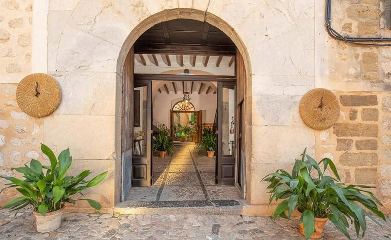 Sóller: Olive Oil Guided Tour and Tasting at Can Det Estate - Why Can Det in Sóller feels different from a quick tasting