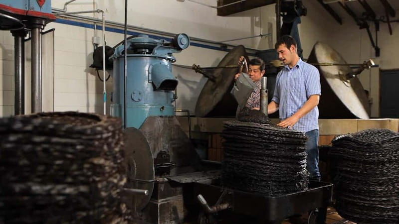 Sóller: Olive Oil Guided Tour and Tasting at Can Det Estate - Over 1,000-year-old olive trees: what to watch for during the tour