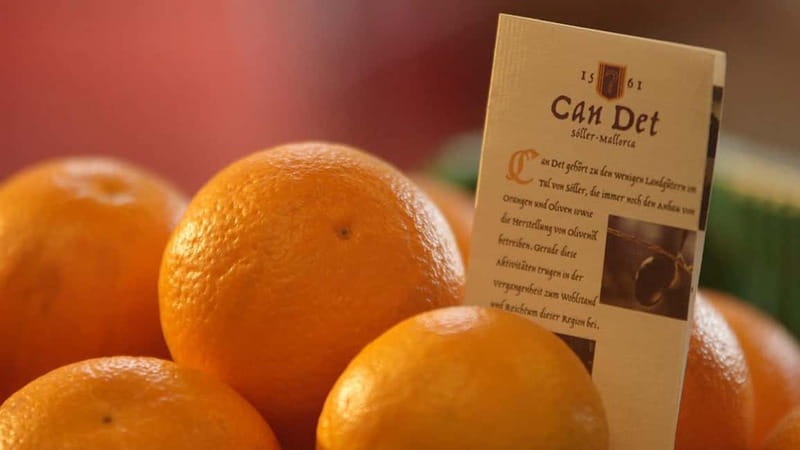 Sóller: Olive Oil Guided Tour and Tasting at Can Det Estate - Your Mallorcan brunch and tasting: what’s on the table